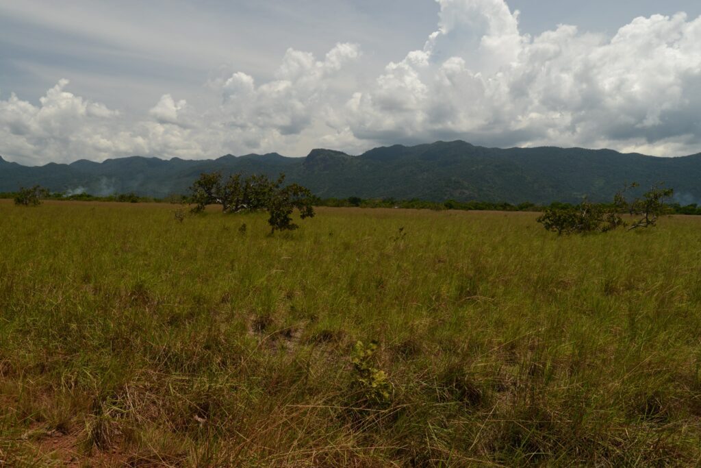 Region 9 (Upper Takutu-Upper Essequibo) – National Trust