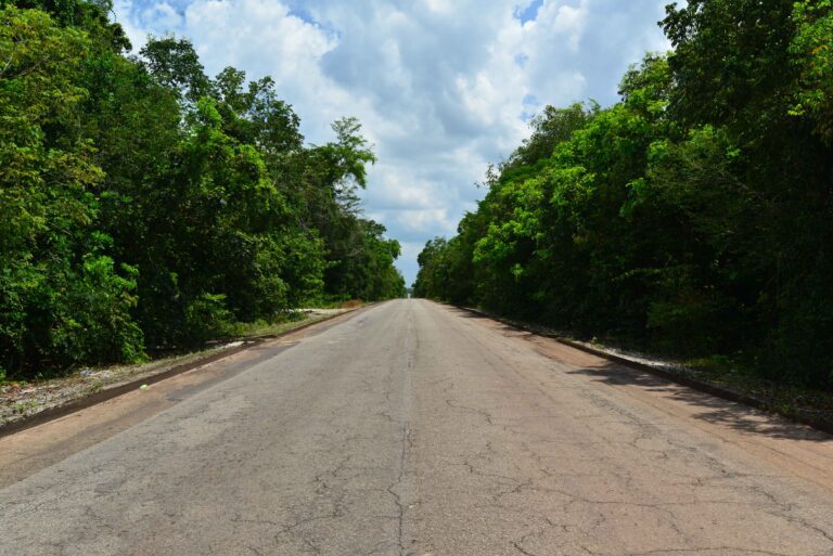 Soesdyke /Linden Highway National Trust